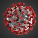 说明:超微结构的形态学表现出由冠状病毒。峰值点缀病毒的外表面,传授电晕的看周围的病毒粒子,在电子显微镜下观察。
