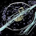 这个三维视图由威斯康辛大学麦迪逊分校的约瑟夫·金和坦纳Tenpas低温电开云体育appios下载子断层扫描显示微管(青色)和线粒体(黄色)-基本蜂窝组件的单个神经元的小鼠大脑皮层。