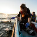 学生收集数据和湖的水样本曼德特在2016年清晨郊游湖沼学实验。湖沼学研究在这样一个湖中发现了带刺的水蚤曼德特在2009年。