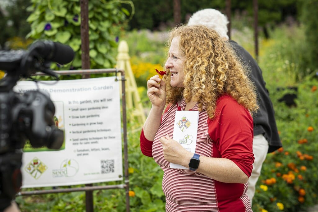 总理Mnookin品味一种可食用的花在花园门口华盛顿大学公共花园半岛农业研究站。开云体育appios下载