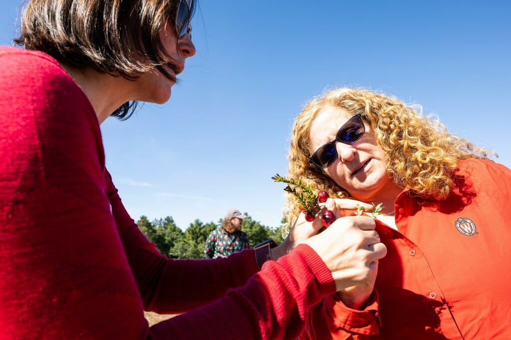 在一个阳光明媚的日子里，Amaya Atucha向Jennifer Mnookin指出一株蔓越莓正在发芽的顶部。