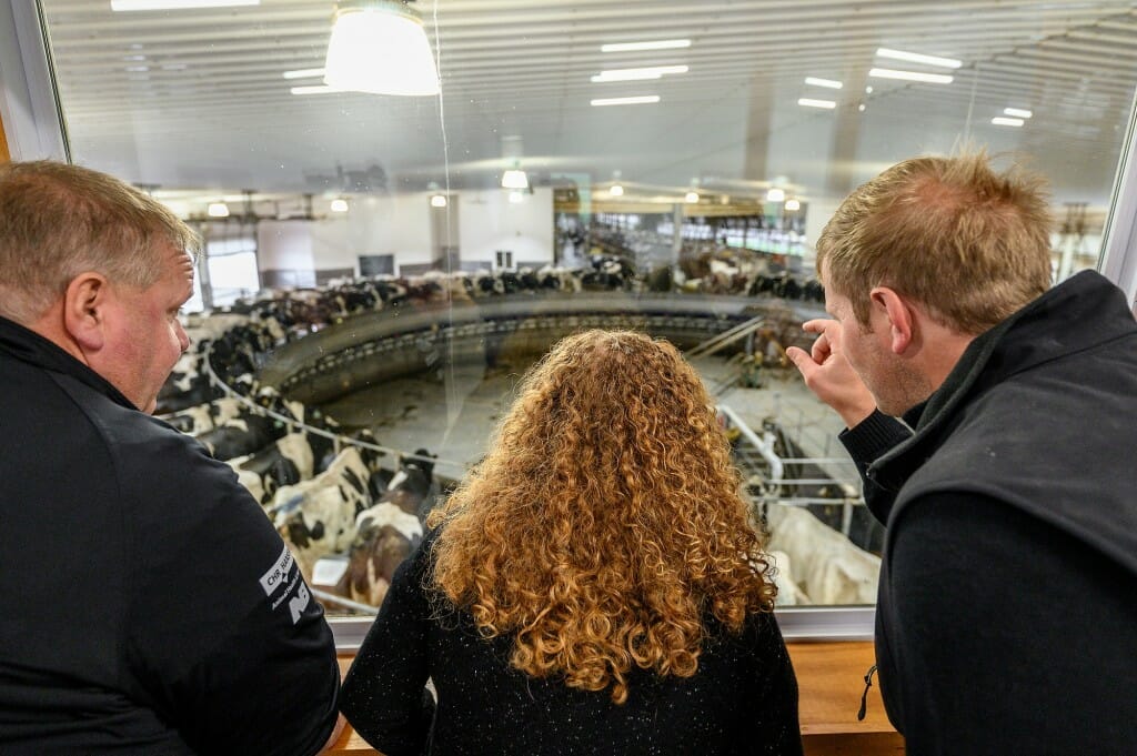 总理詹妮弗Mnookin(中心)看着扶轮挤奶厅和施密特奶牛场老板兰迪·施密特(左)和施密特的儿子瑞恩·施密特(右)。在这个72 -失速旋转挤奶厅,四个农场工人站在圈的地方准备好,收获牛奶和post-dip牛,因为他们经过。每头牛每天可以生产10磅的奶酪,和整体产生330000磅的牛奶每一天。