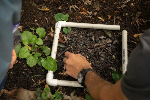 一只手把手伸进一个正方形的中心框架的PVC地面土壤上了。