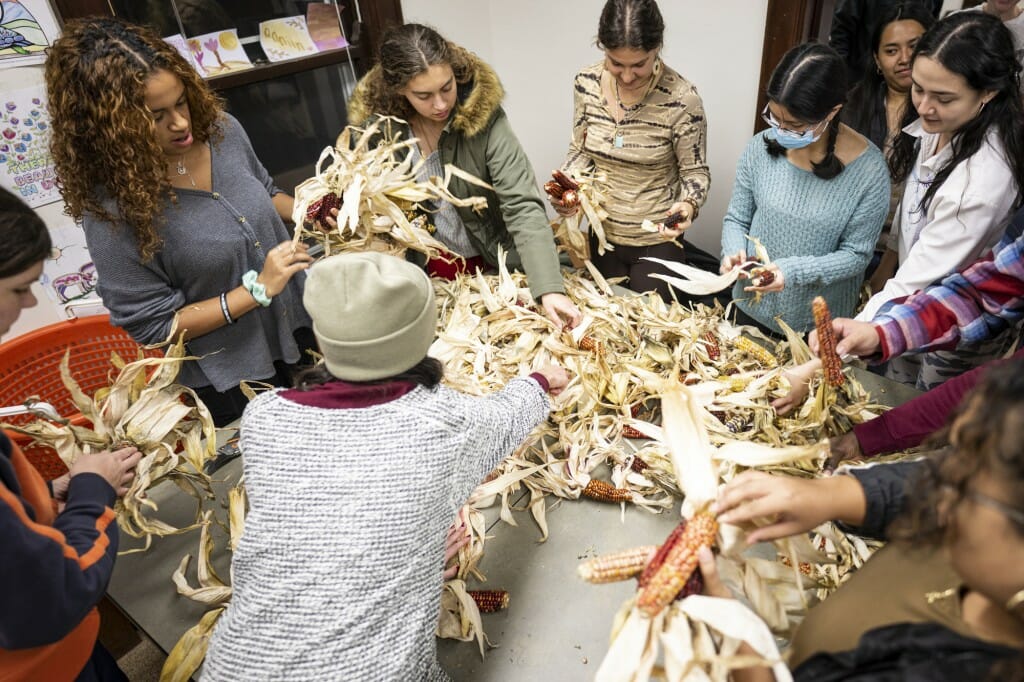 学生们聚集在一起练习剥壳和编织熊岛弗林特玉米，以它起源于加拿大的一个岛屿命名。