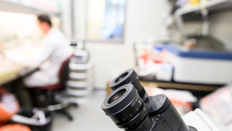 在实验室环境下显微镜目镜的特写。